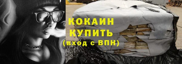 гидра Няндома