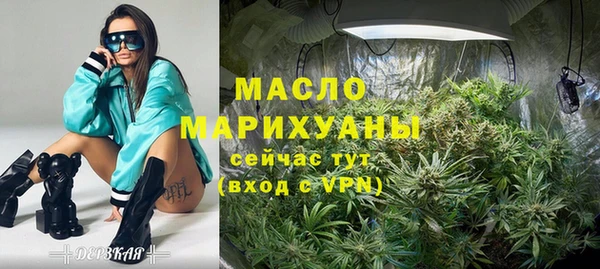 гидра Няндома