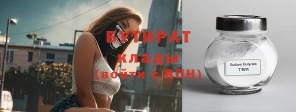 гидра Няндома