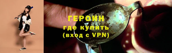 гидра Няндома