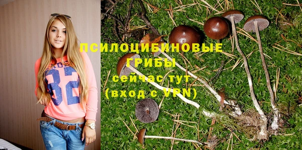 гидра Няндома