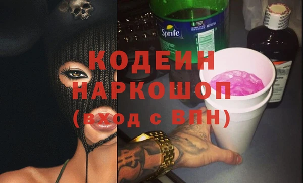 гидра Няндома